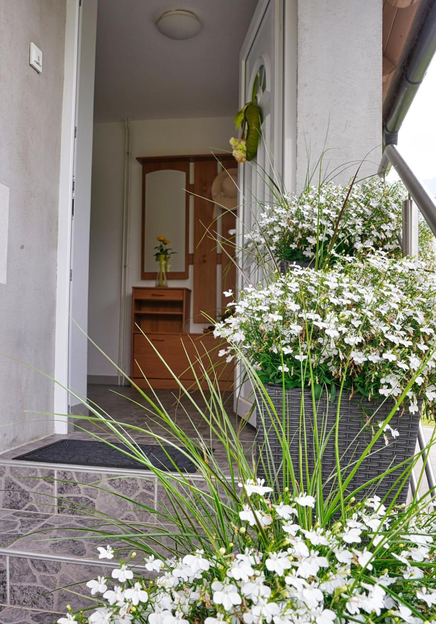 Apartma Simona ボーヒニ エクステリア 写真