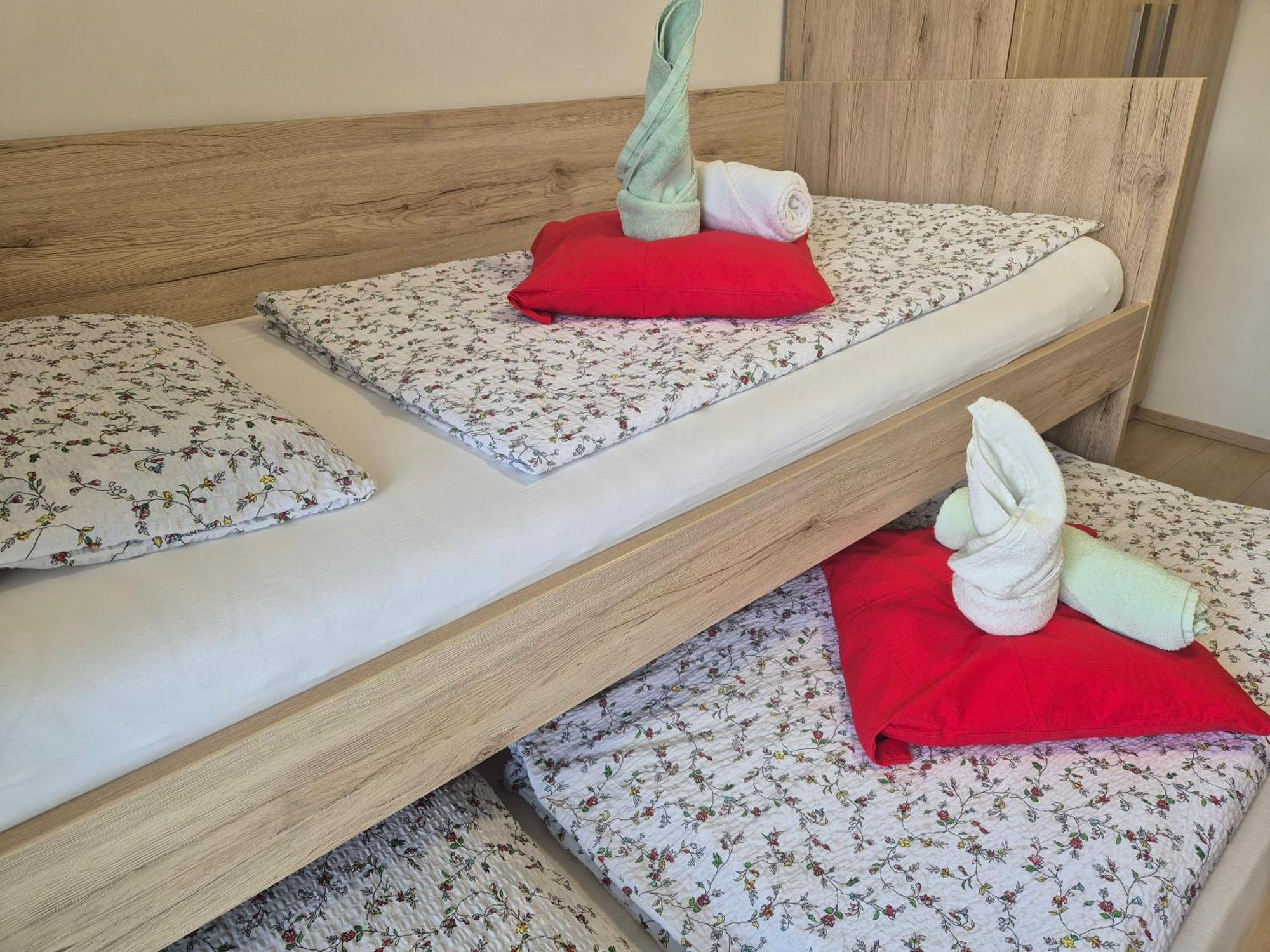 Apartma Simona ボーヒニ エクステリア 写真
